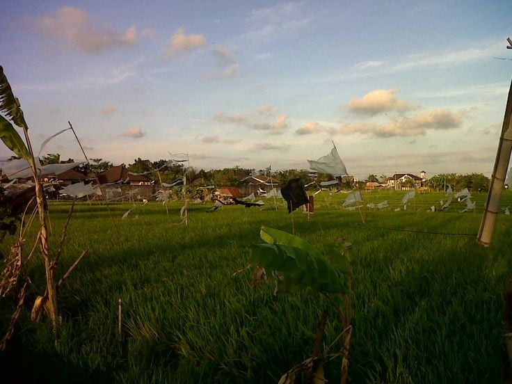 berawa